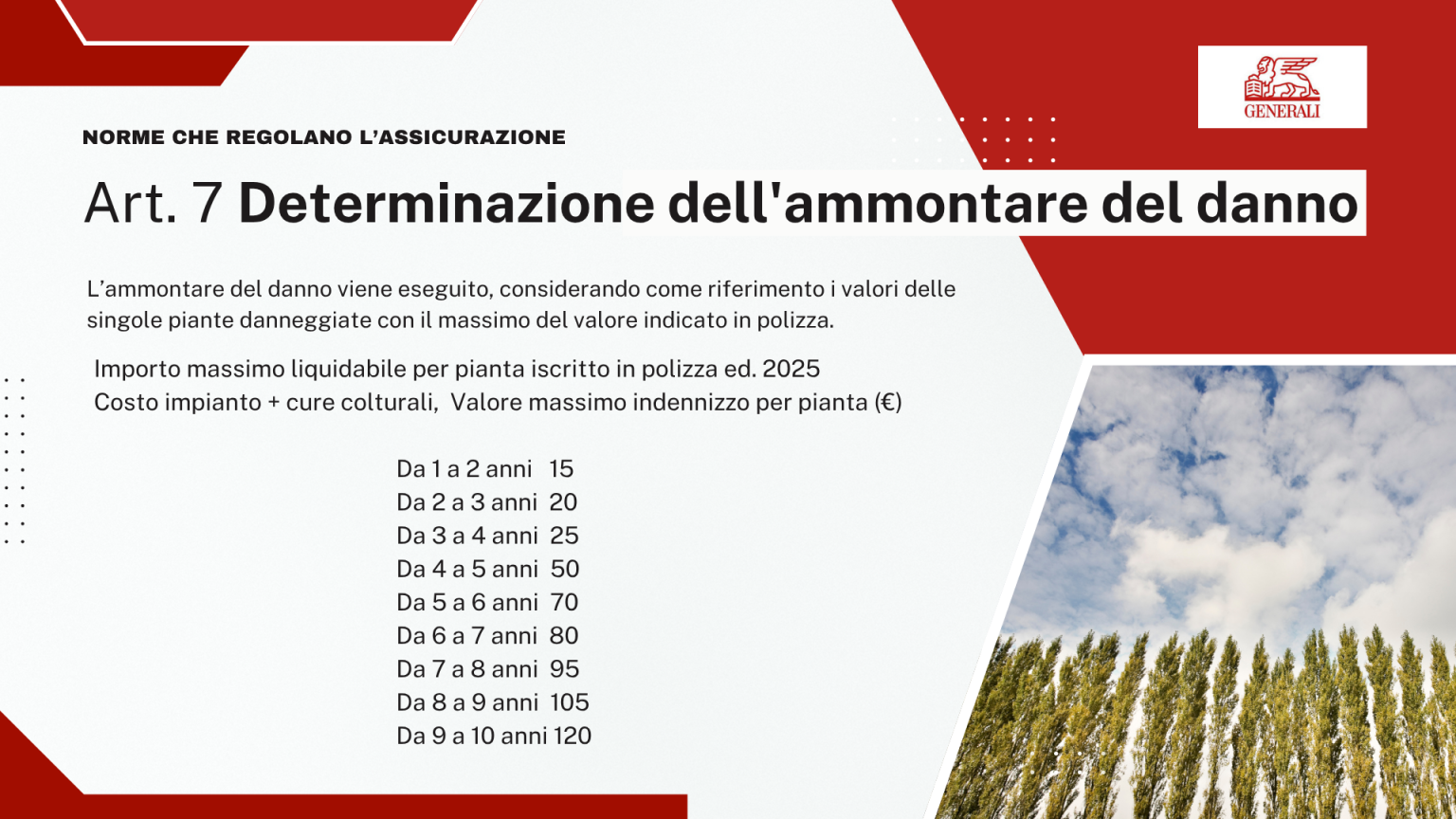 Art. 7 - Determinazione del danno: tabella degli importi massimi indennizzabili per pianta in base all'età