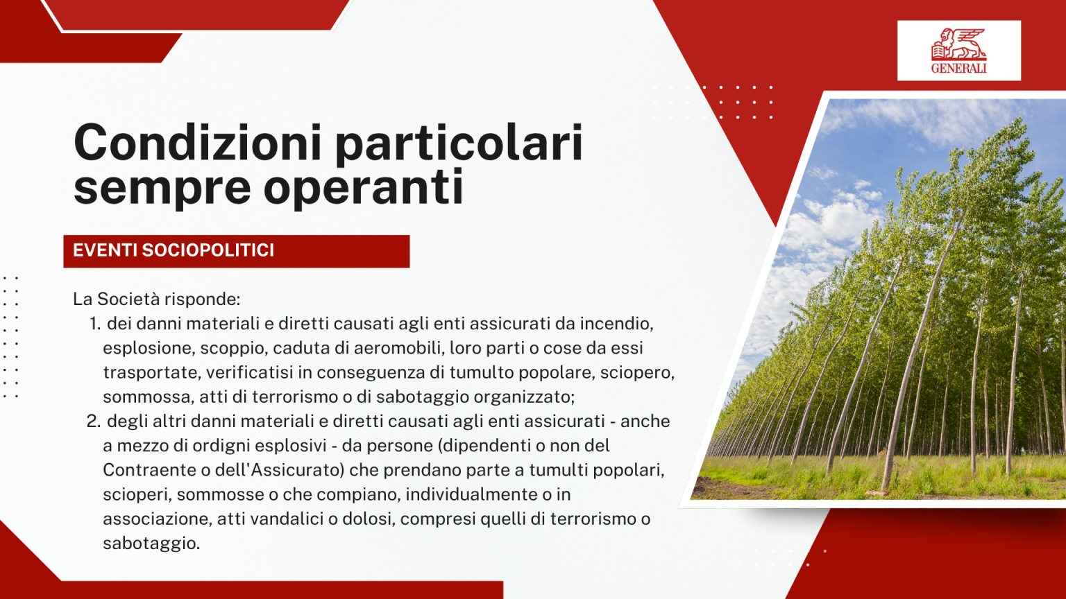 Condizioni particolari sempre operanti - Eventi sociopolitici: cosa copre la Società