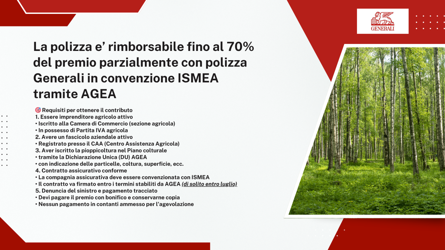 Contributo ISMEA tramite AGEA fino al 70% del premio: requisiti per ottenerlo