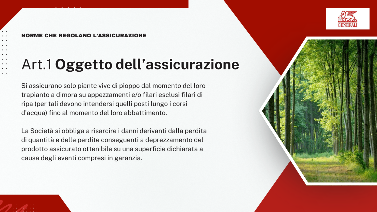 Art. 1 - Oggetto dell'assicurazione: si assicurano le piante vive di pioppo dal trapianto fino all'abbattimento