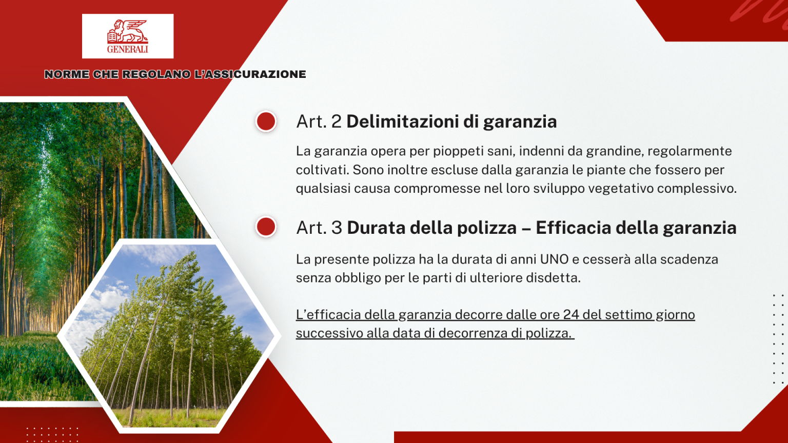 Art. 2 - Delimitazioni di garanzia e Art. 3 - Durata della polizza ed efficacia della garanzia